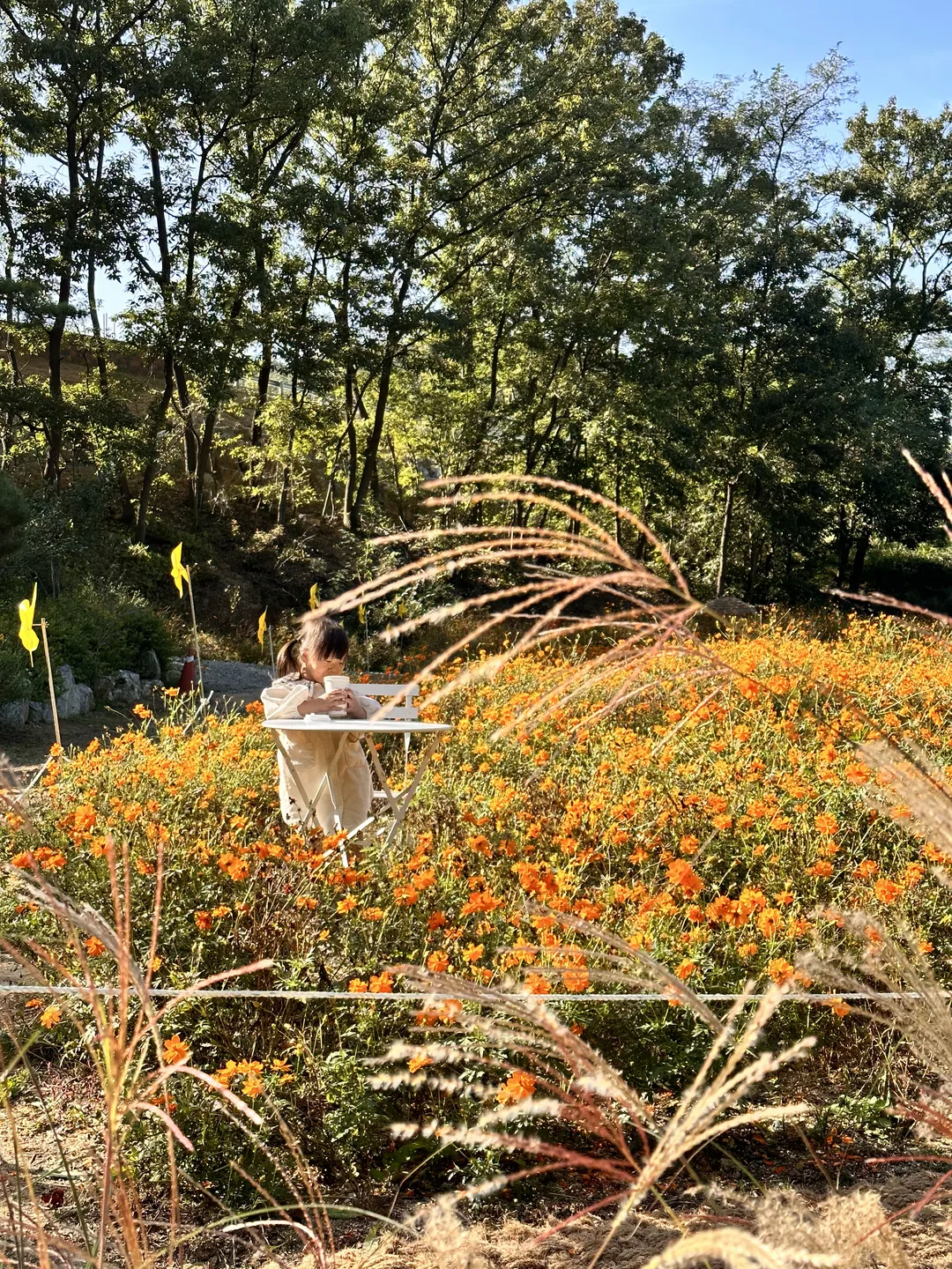 피노카페 사진 7