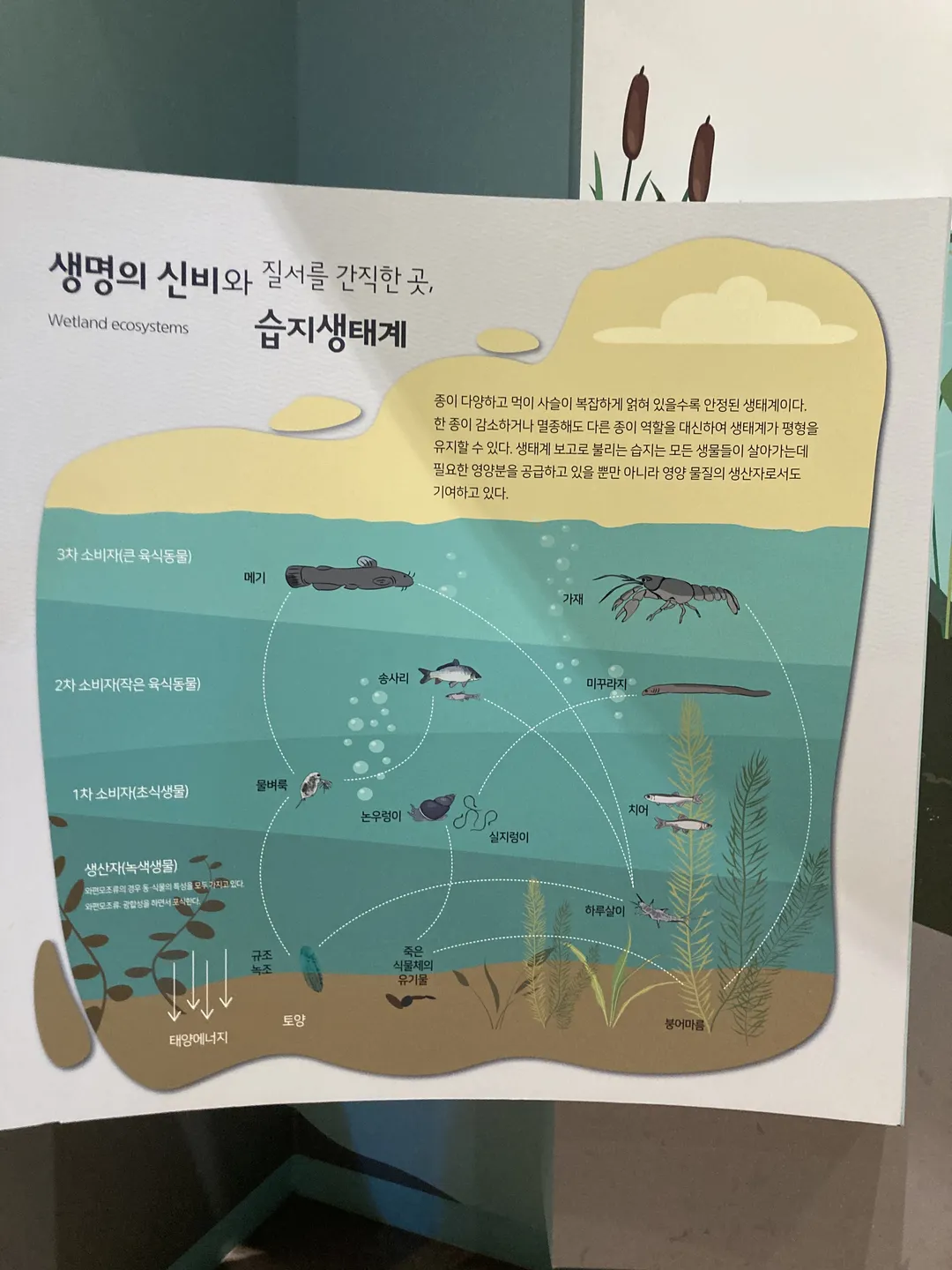 달성습지 생태학습관 사진 11