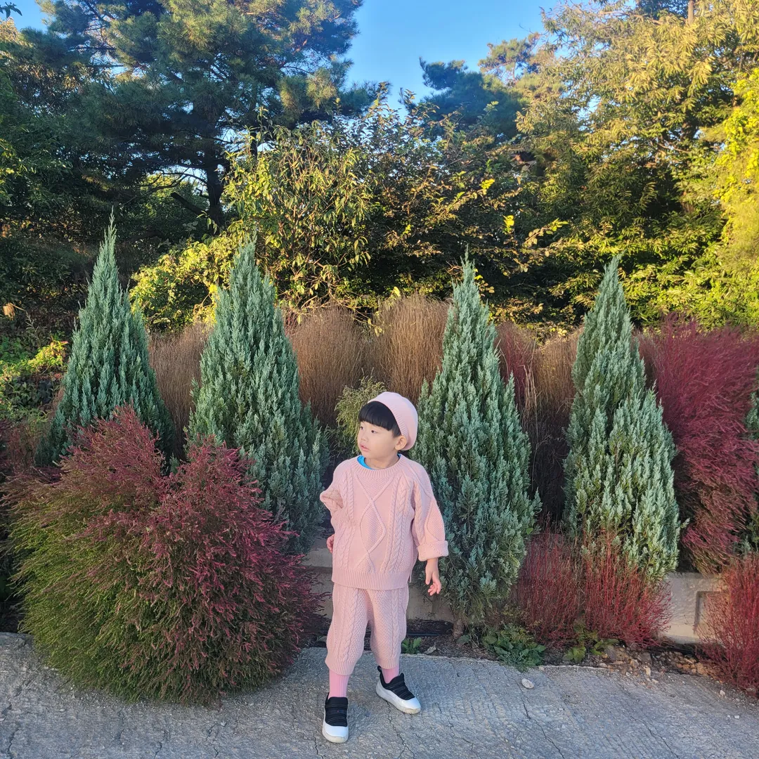앙비떼