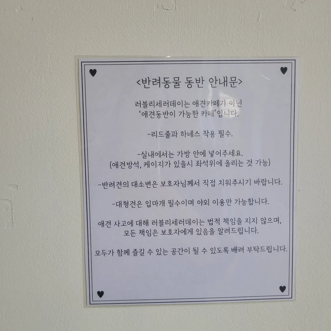 러블리 세러데이 사진 15