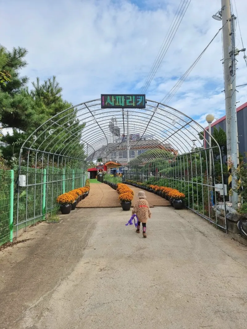 Monmoniya Cafe Hyangnam photo 17