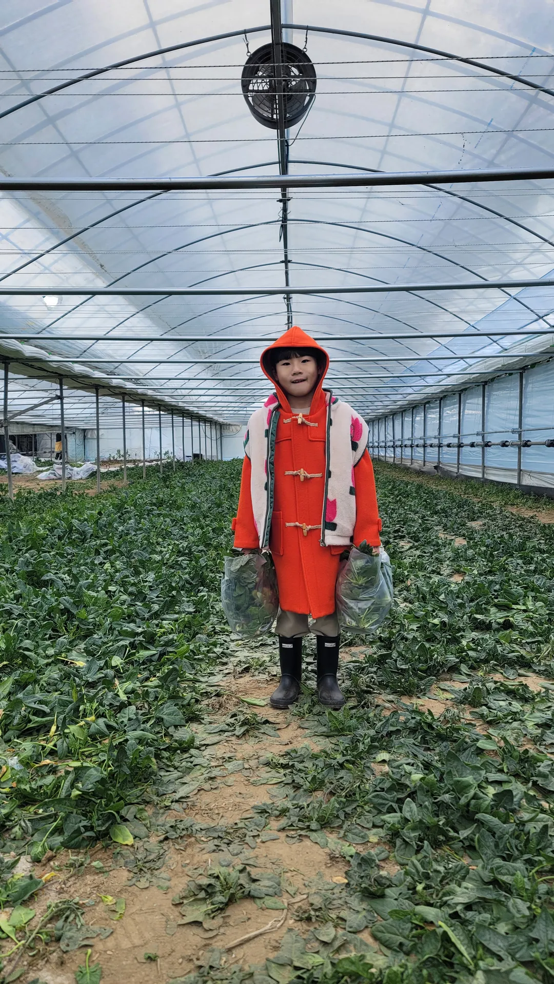 Eunjin Farm photo 6