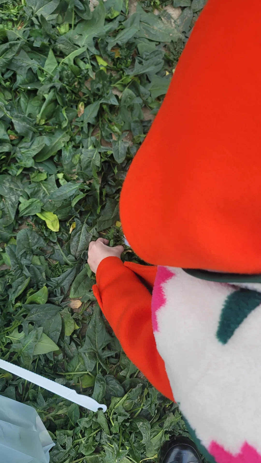 Eunjin Farm photo 7