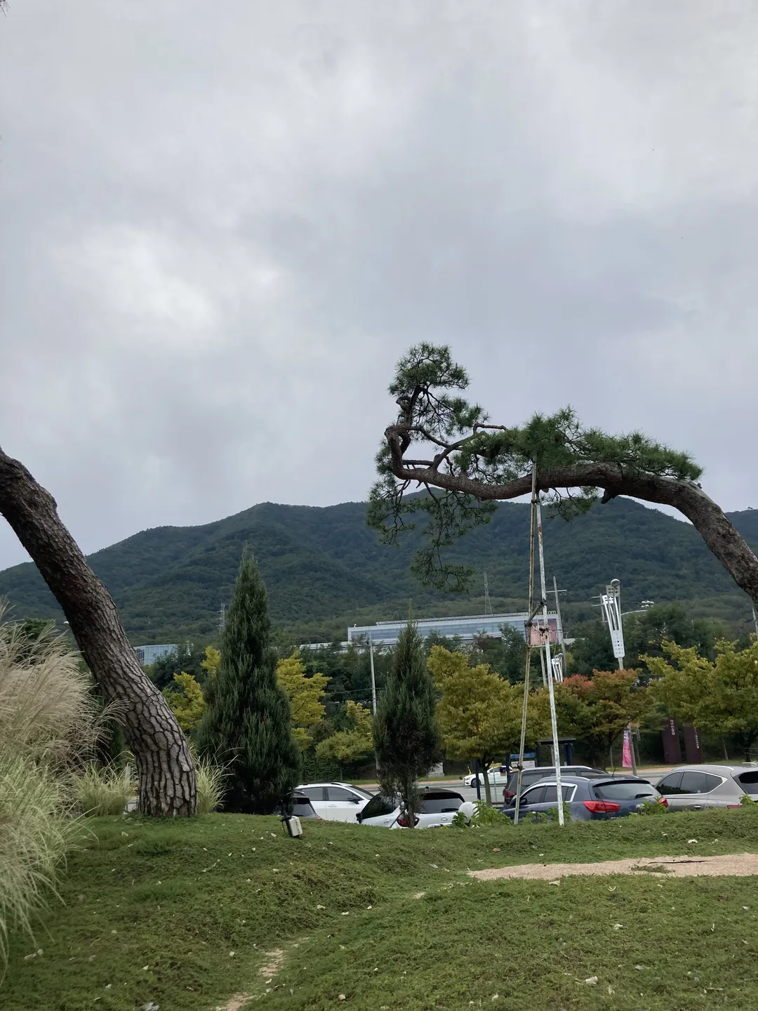 덕천418 사진 11