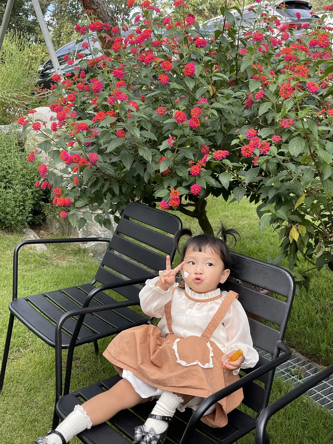파인트리하우스 사진 7