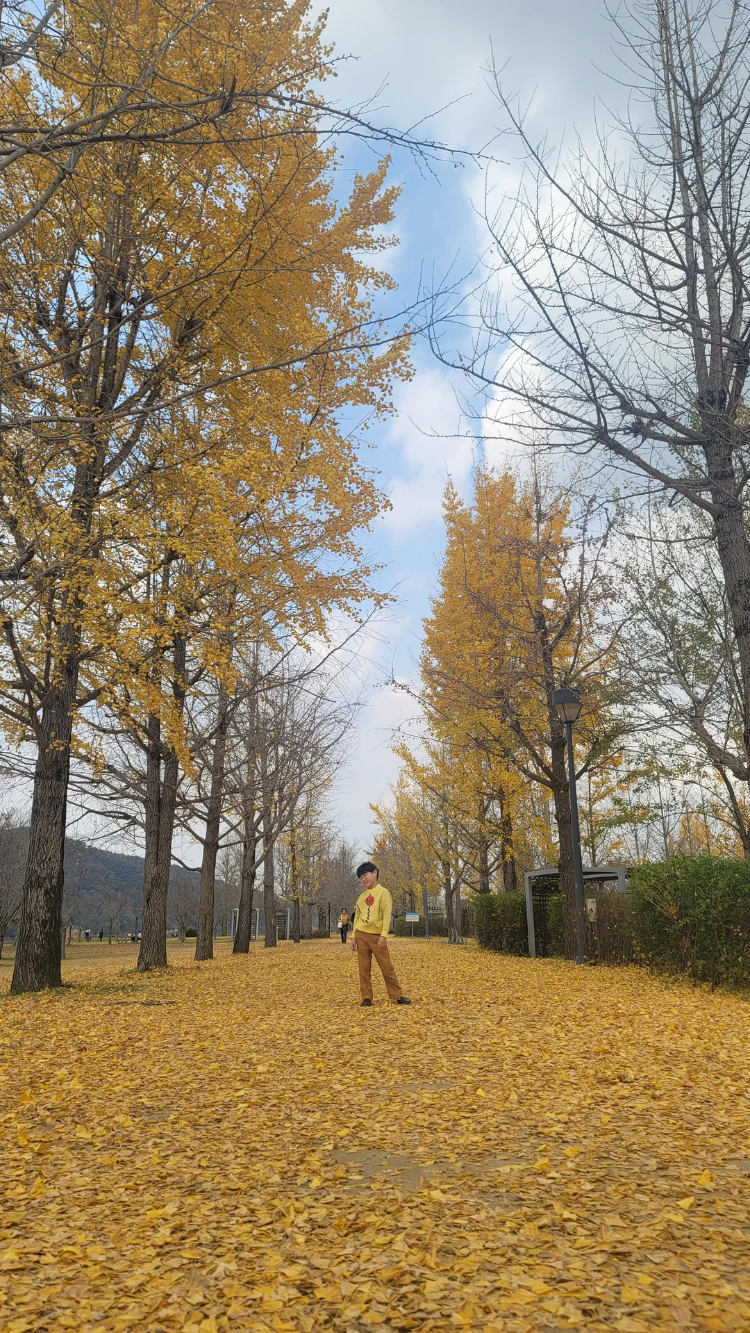 강천섬유원지 사진 7