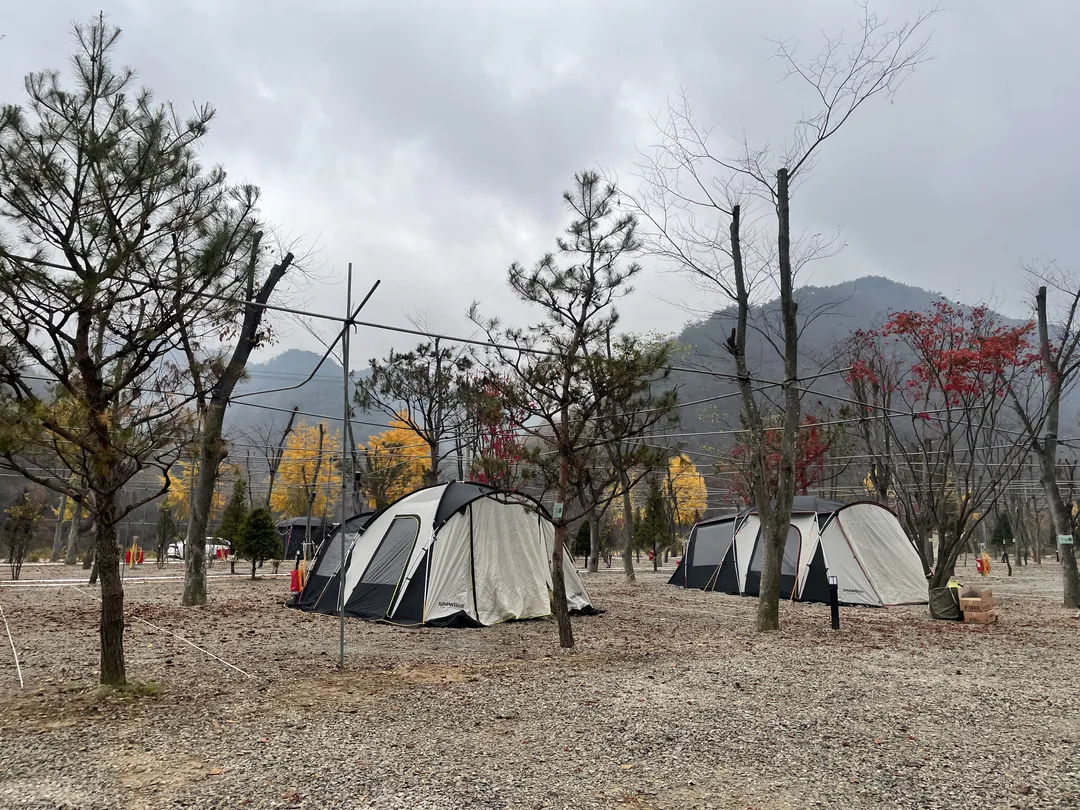 옥화포시즌캠핑장