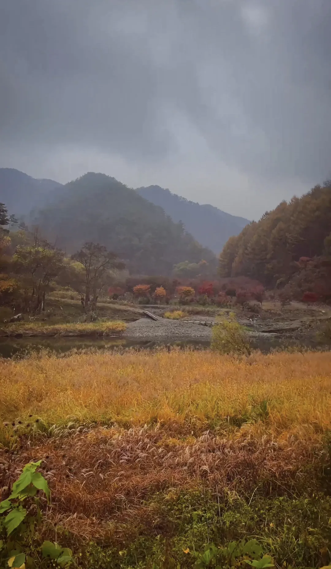 옥화포시즌캠핑장
