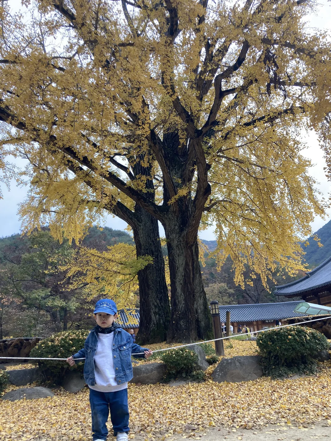 운문사