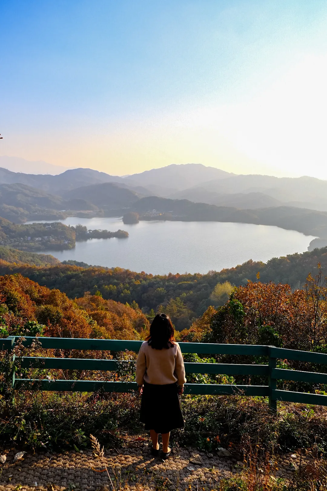 노아의 숲