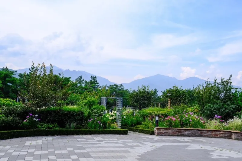 설악산책 사진 14