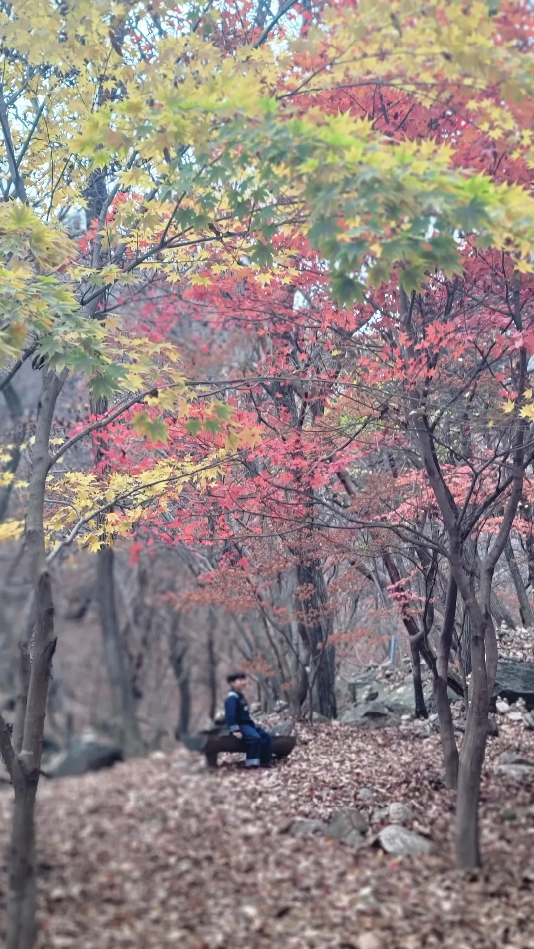 Yongmunsan Tourist Complex photo 7