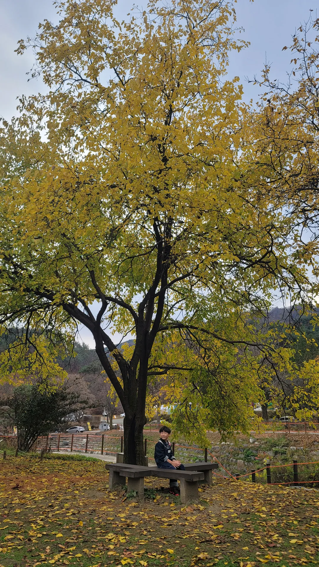 Yongmunsan Tourist Complex photo 11