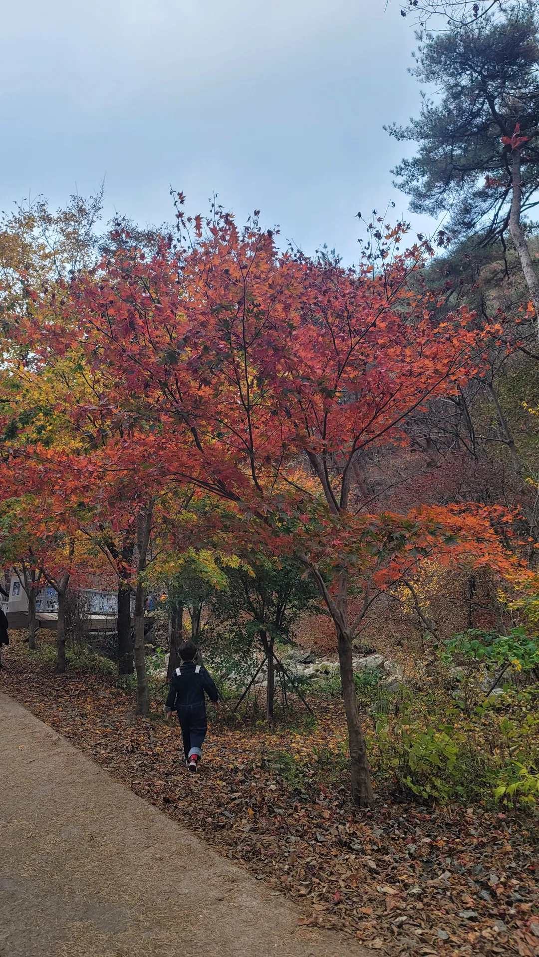 Yongmunsan Tourist Complex photo 8
