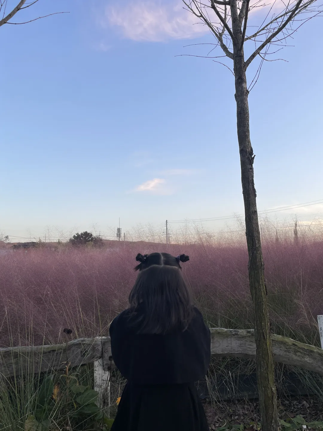 더 다락농장 사진 8
