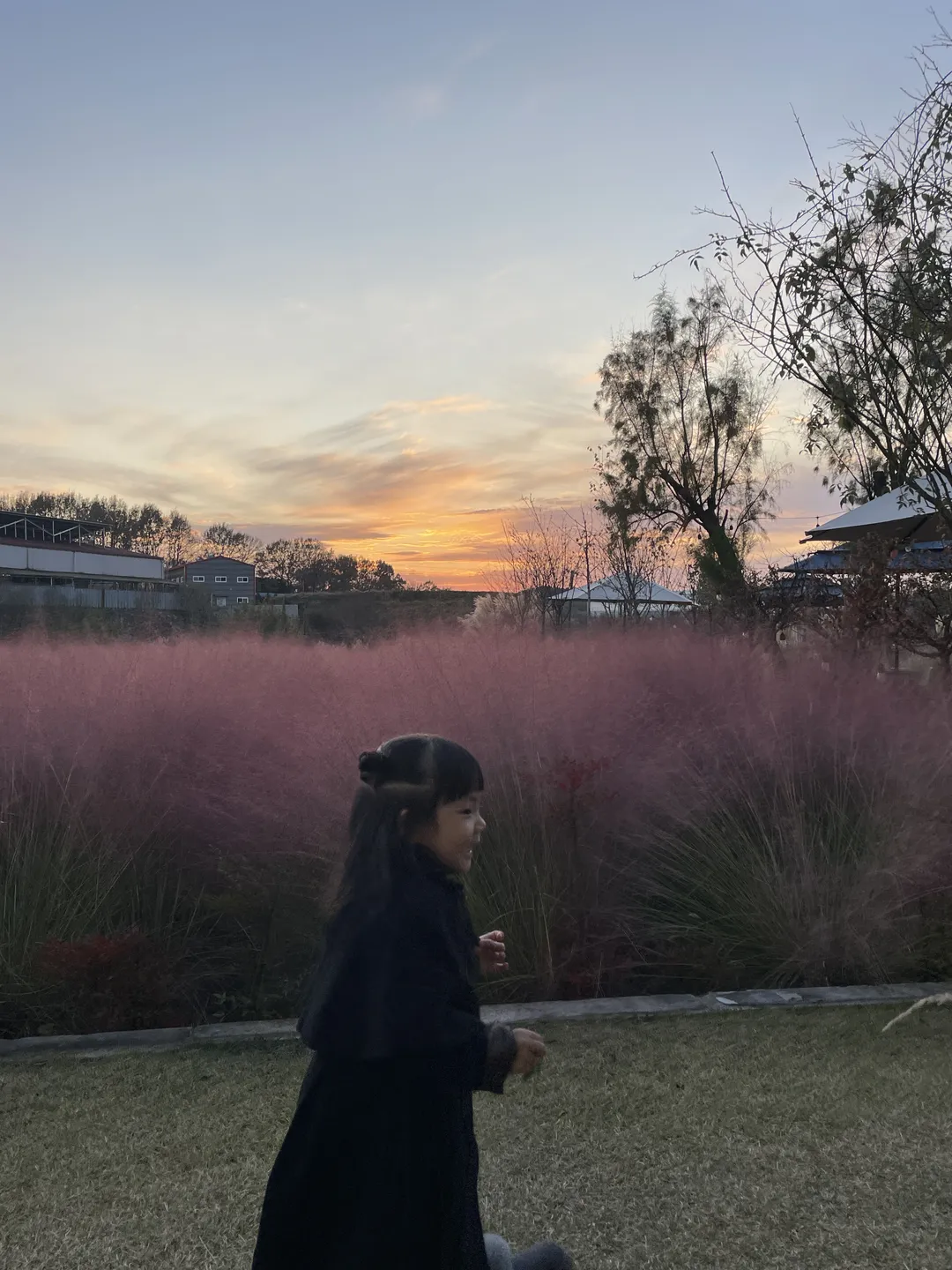 더 다락농장 사진 7