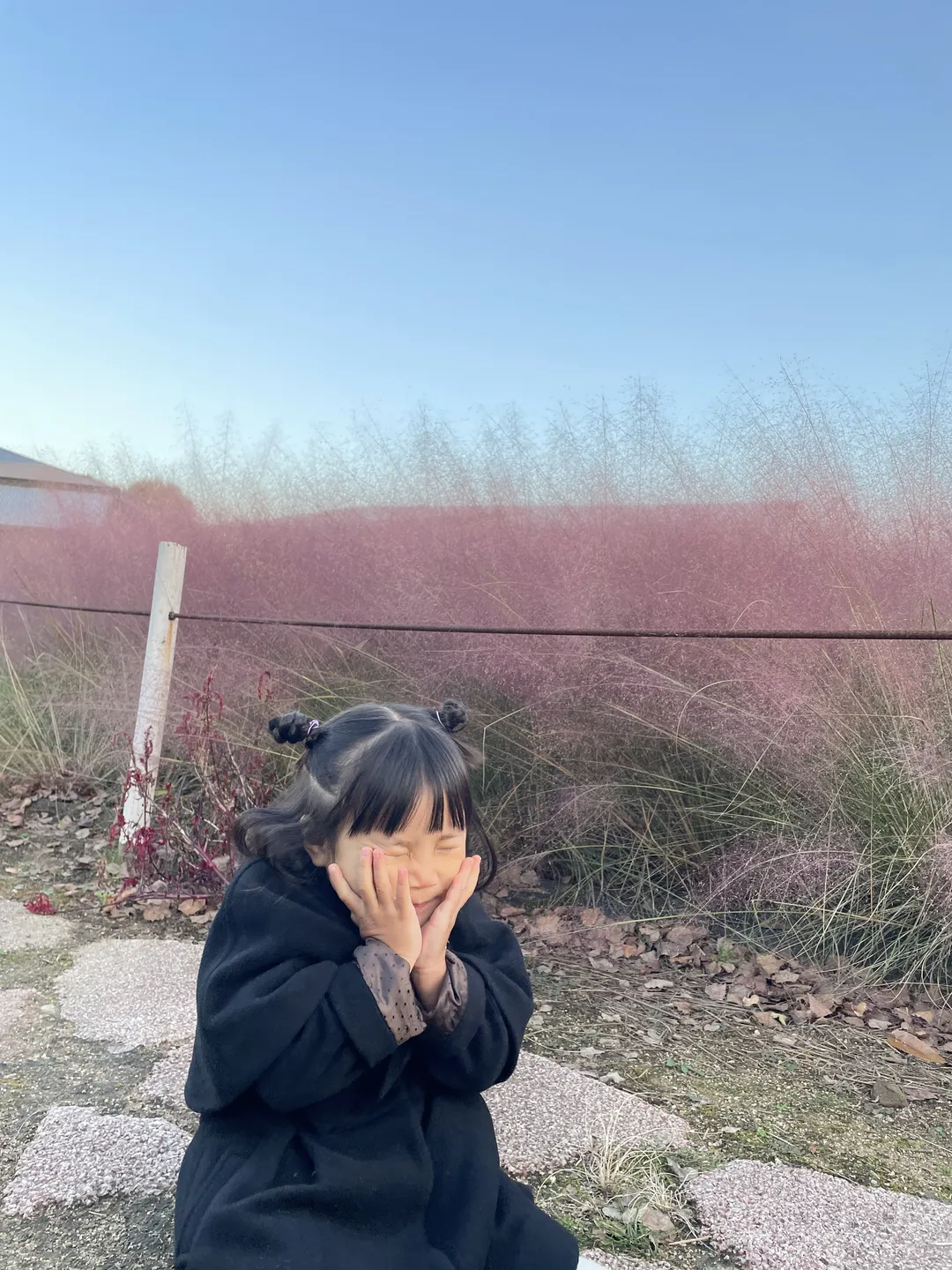 더 다락농장 사진 6