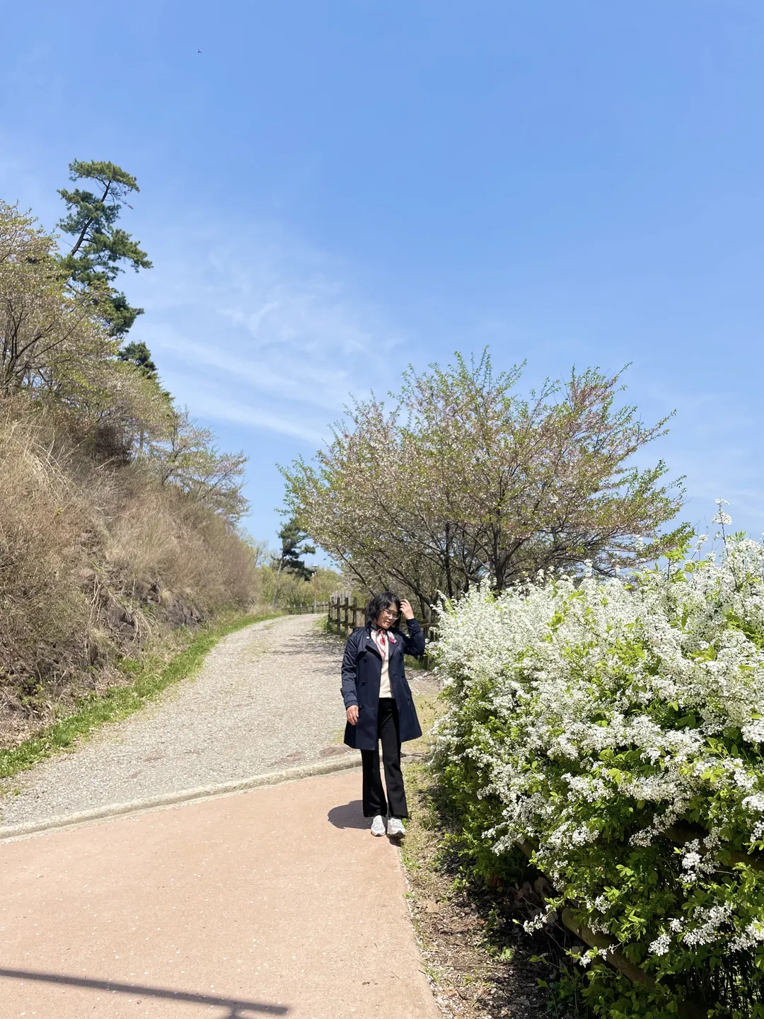 진천농다리 사진 10