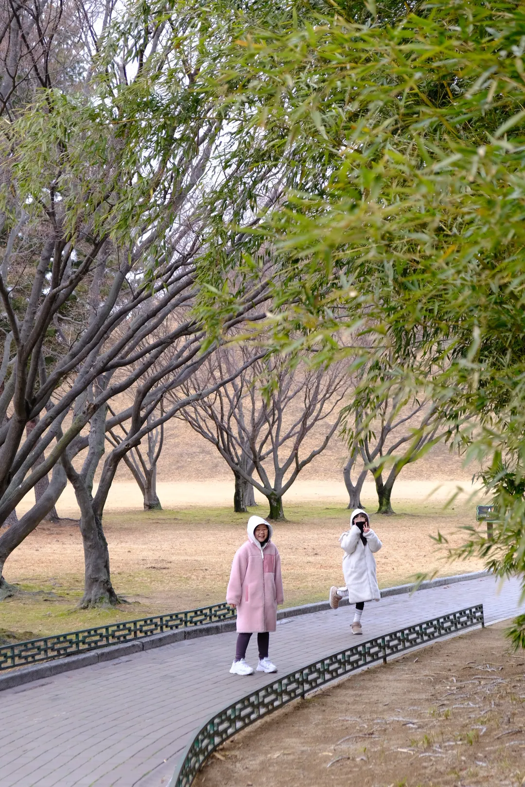 慶州大陵苑 写真 12