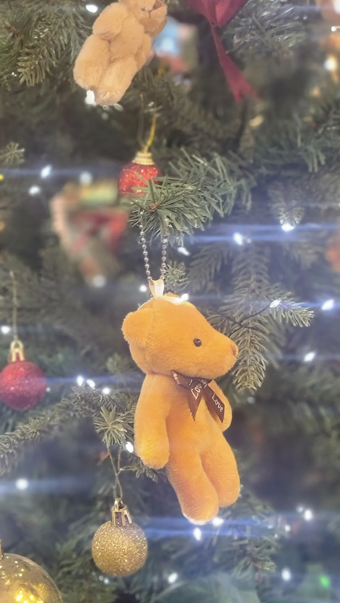 カフェ レディッシュ 写真 10
