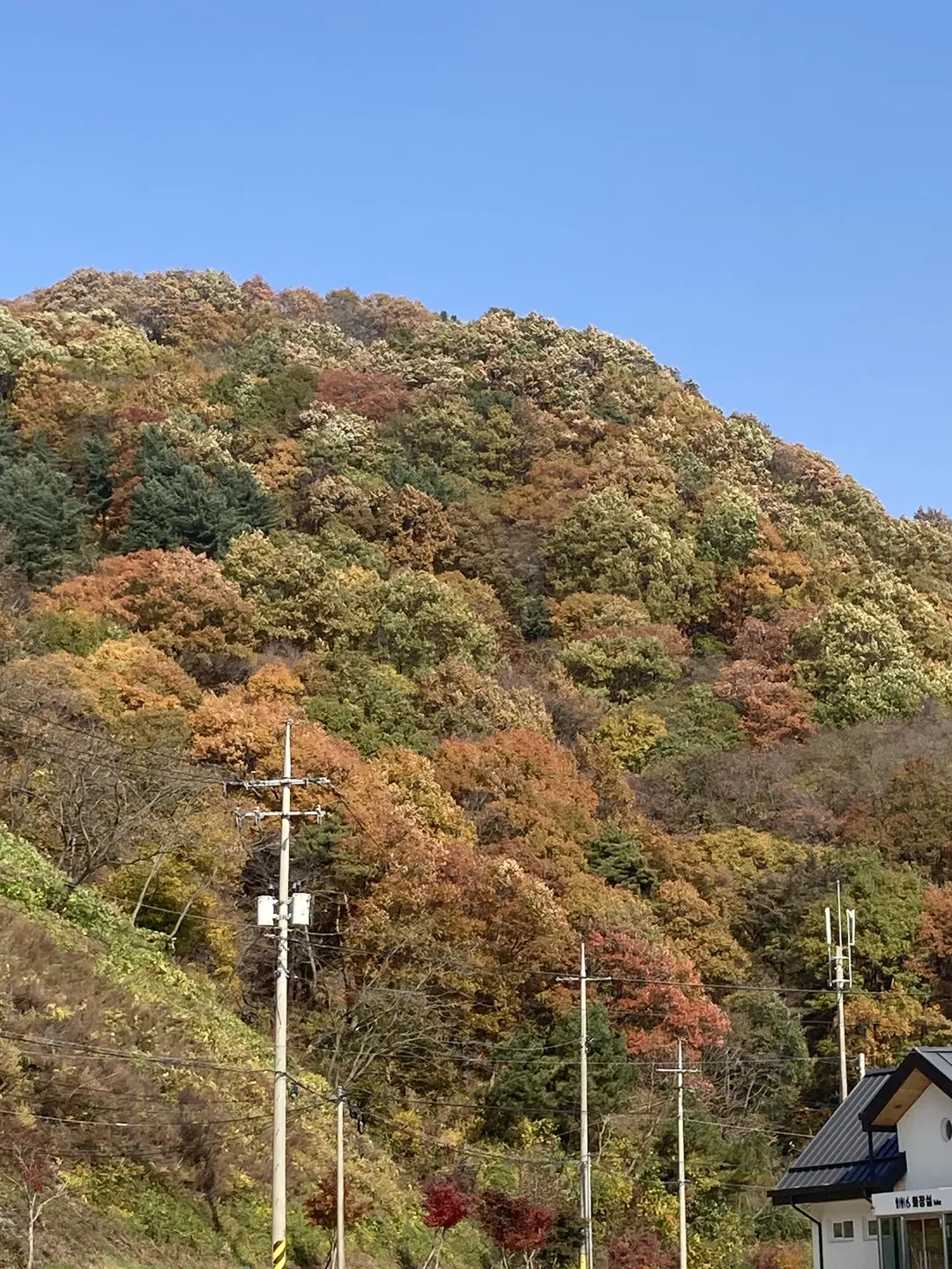 카페오도재 사진 7