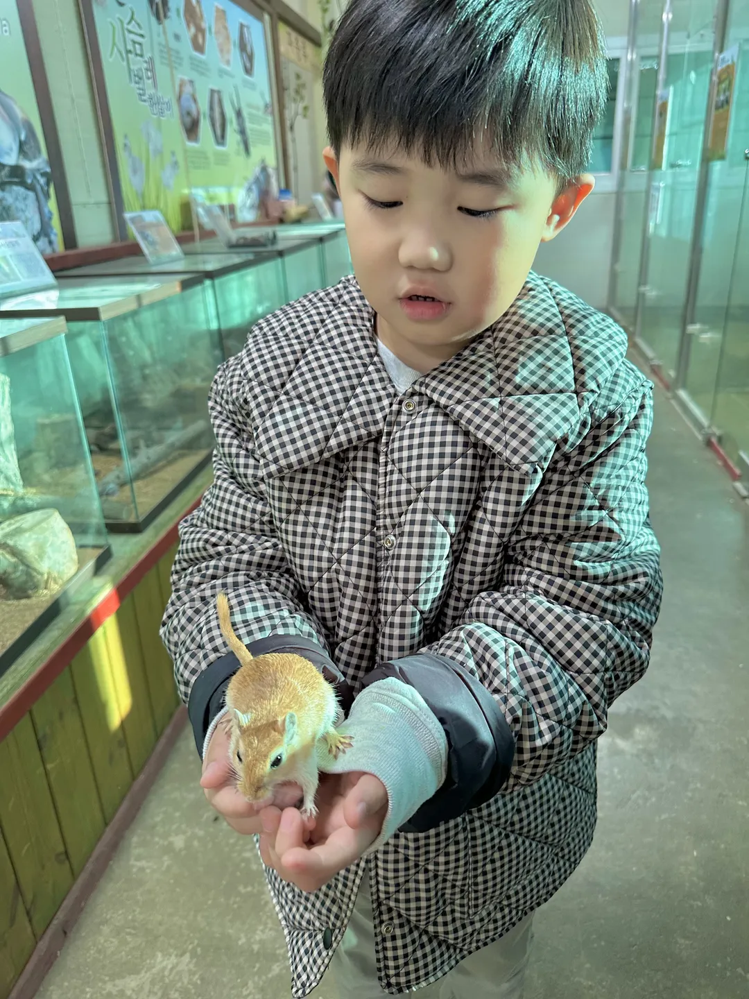 곤충테마여행 사진 7
