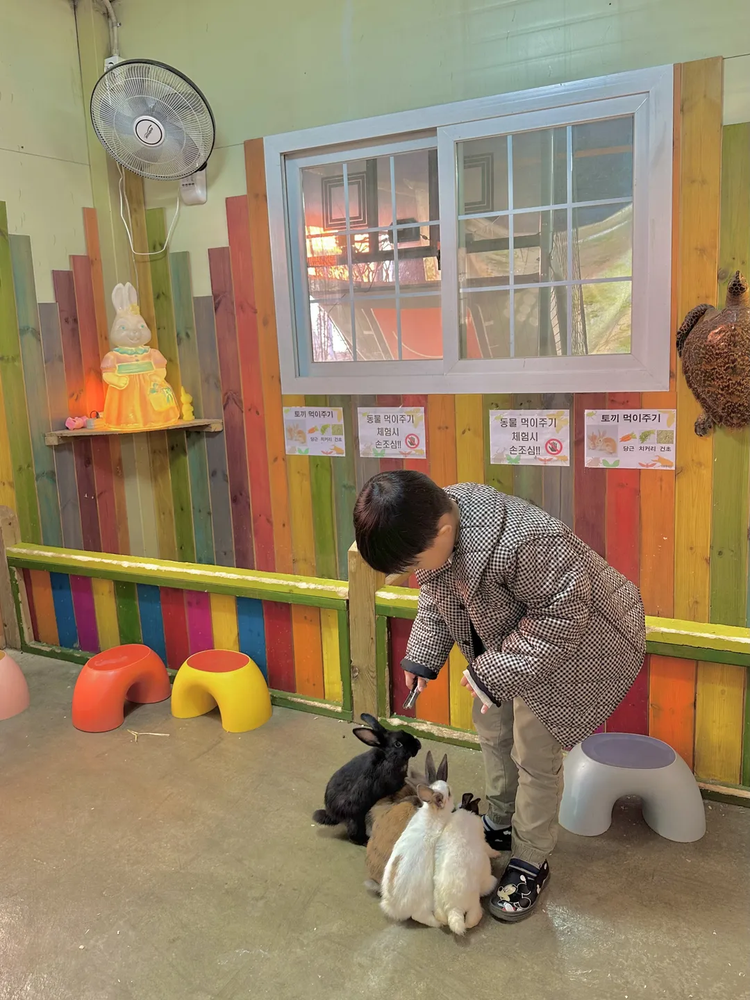 곤충테마여행 사진 8