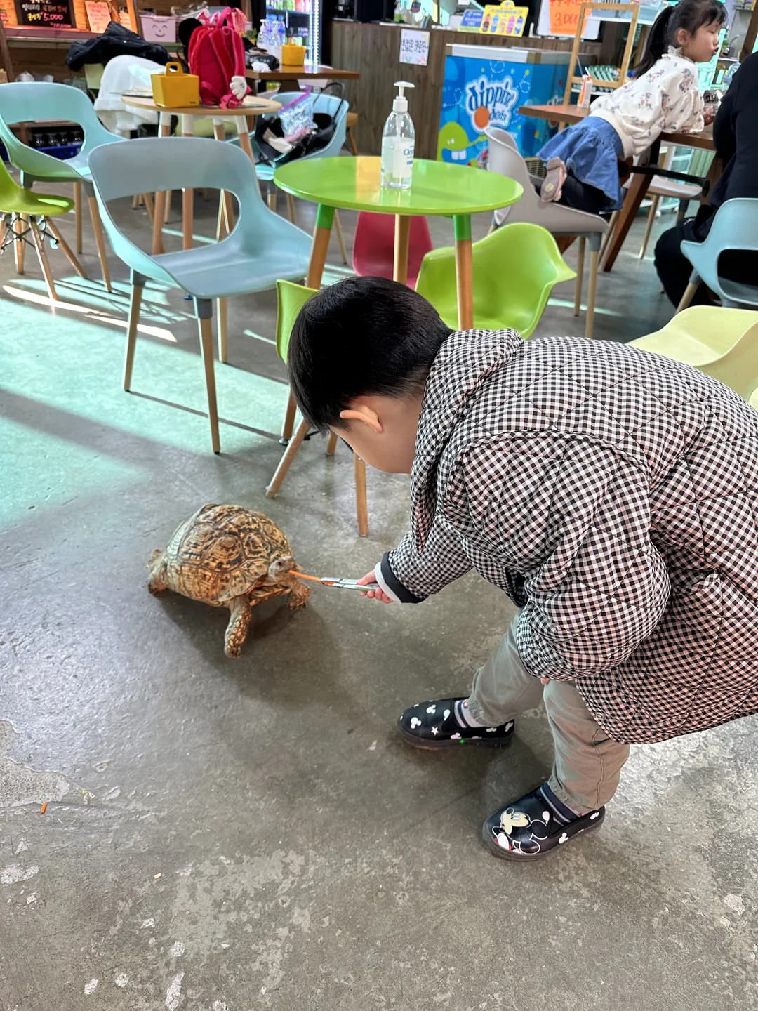 곤충테마여행 사진 6