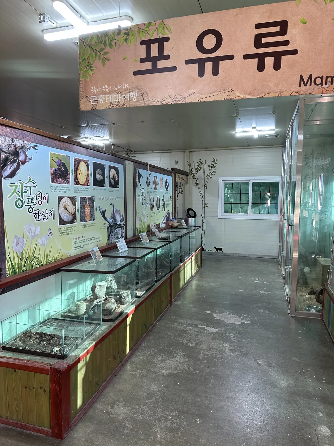 곤충테마여행 사진 16