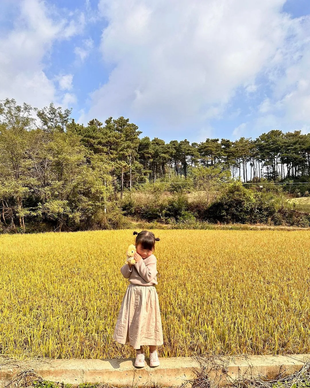 아티블랑