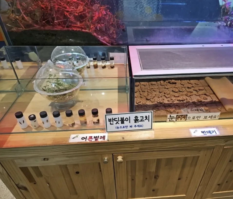 반딧불이생태관 사진 8