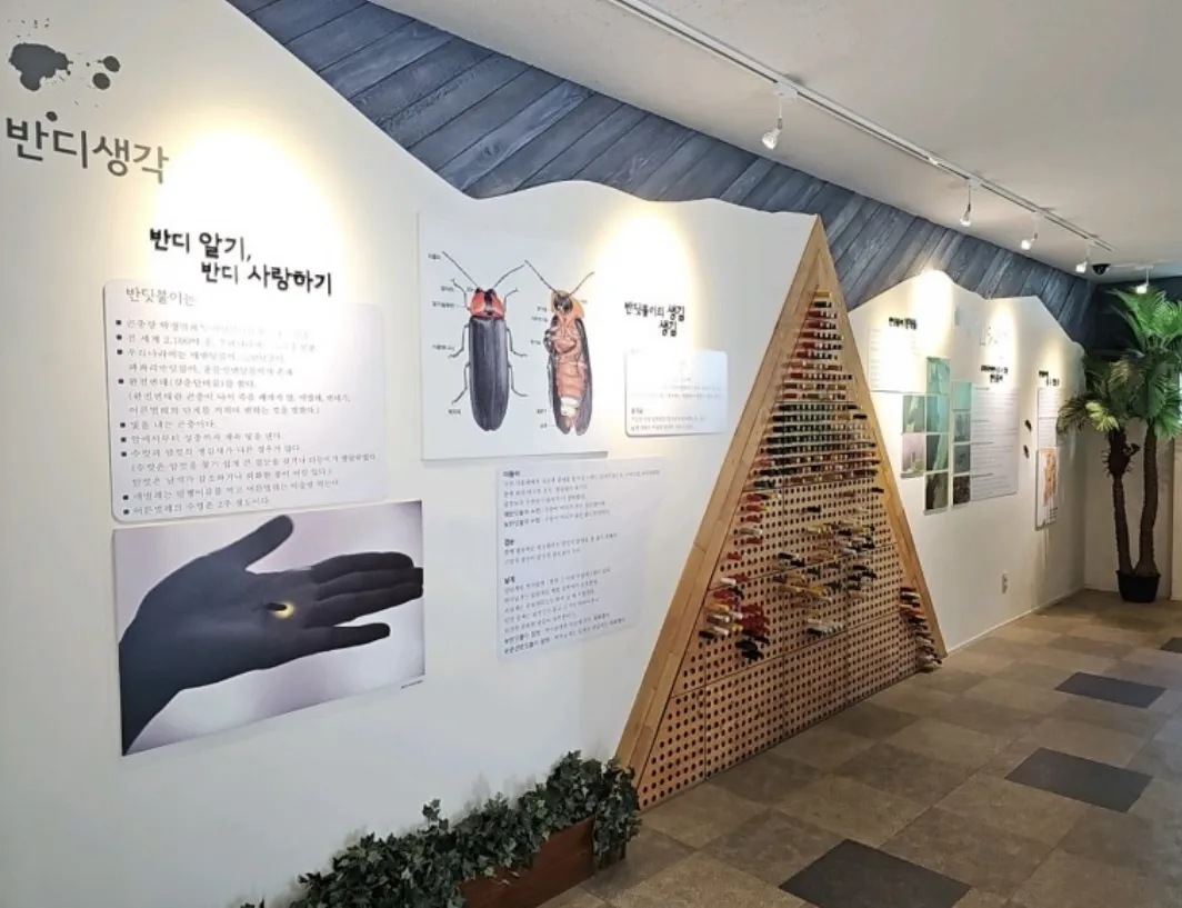 반딧불이생태관 사진 7