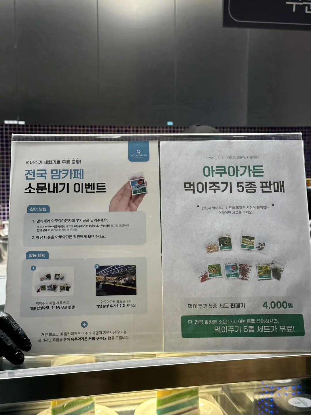 아쿠아가든카페 가평점 사진 13