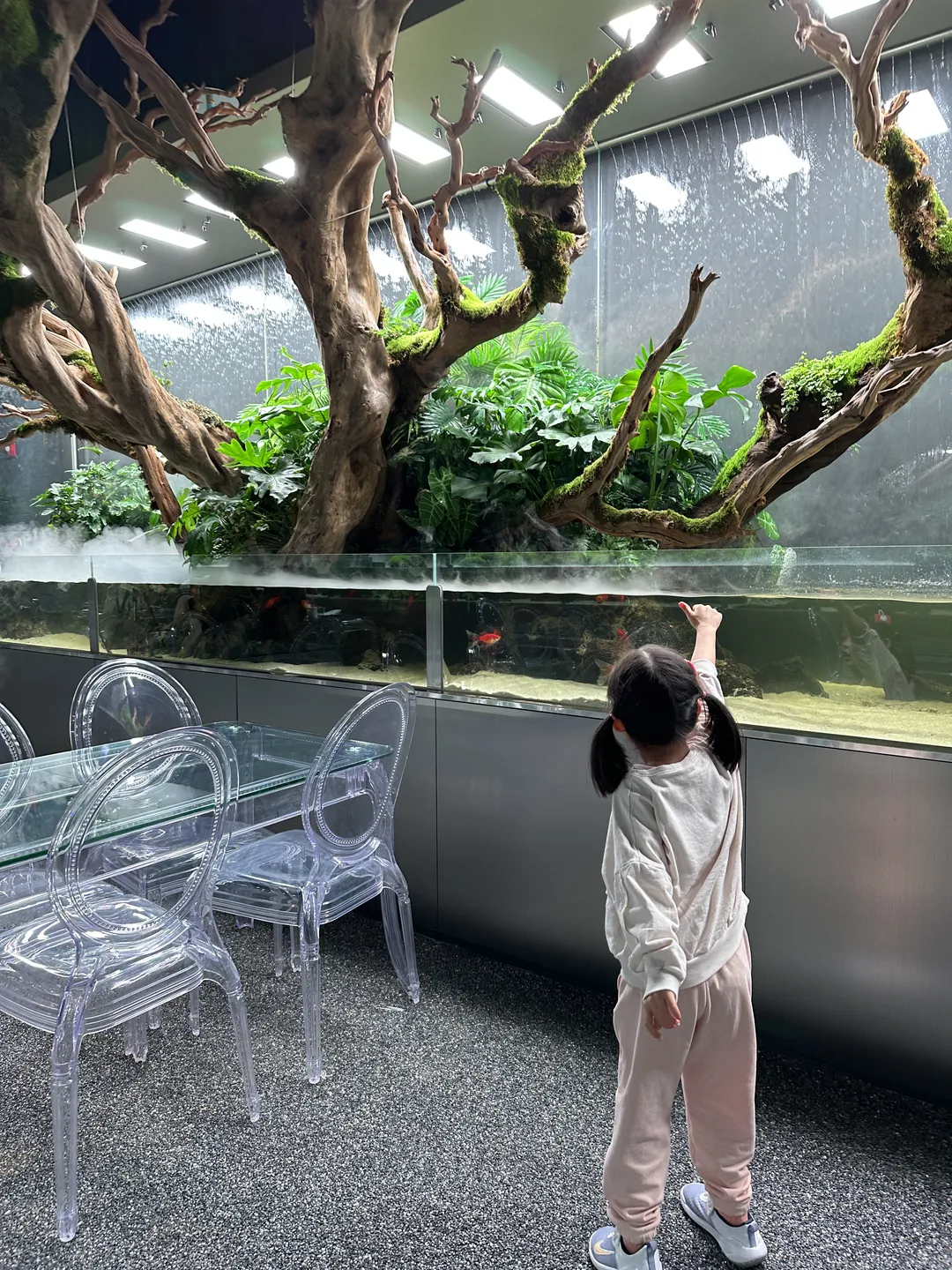 아쿠아가든카페 가평점 사진 6