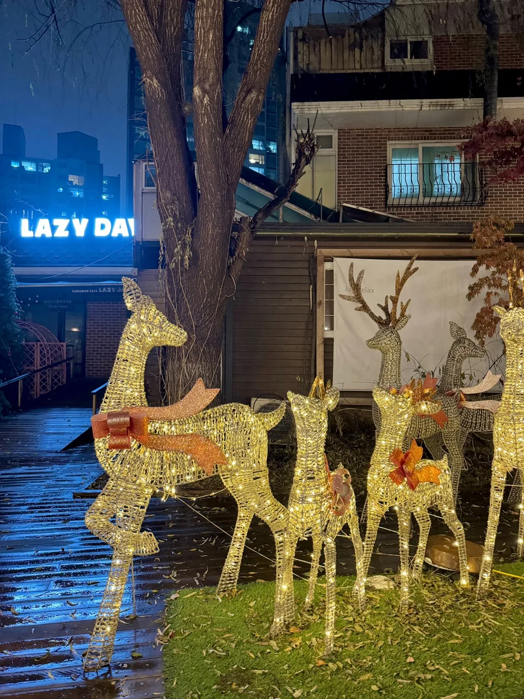 레이지데이즈 사진 10