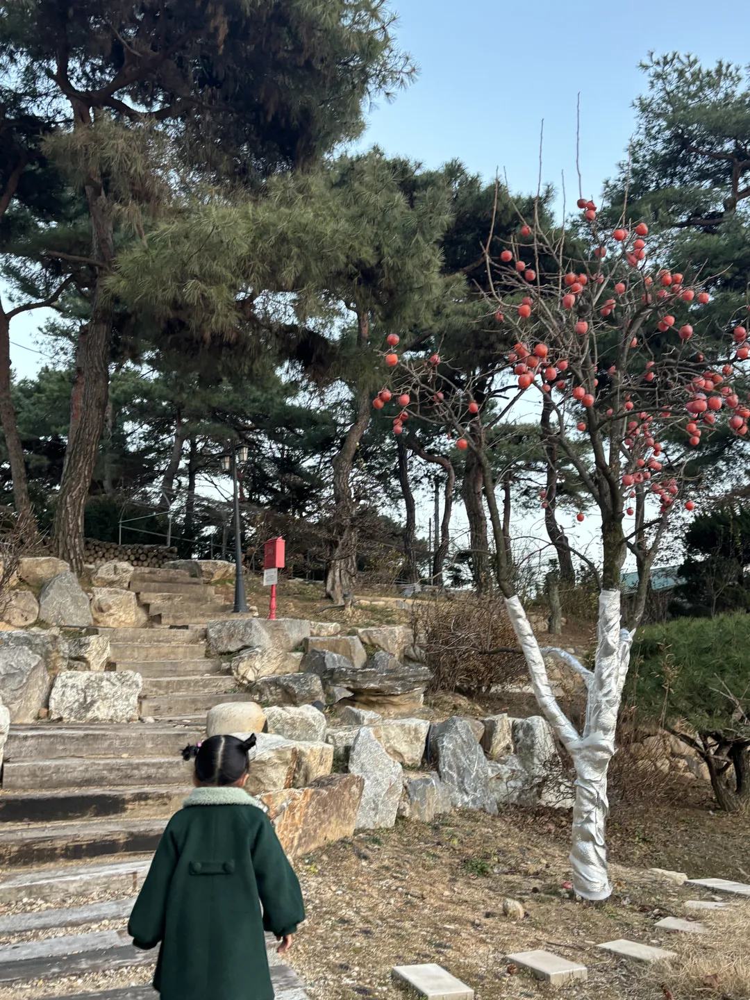 콘벨트 청주