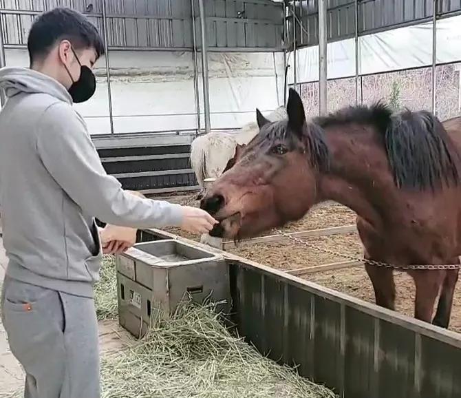 파머스그라운드 사진 7