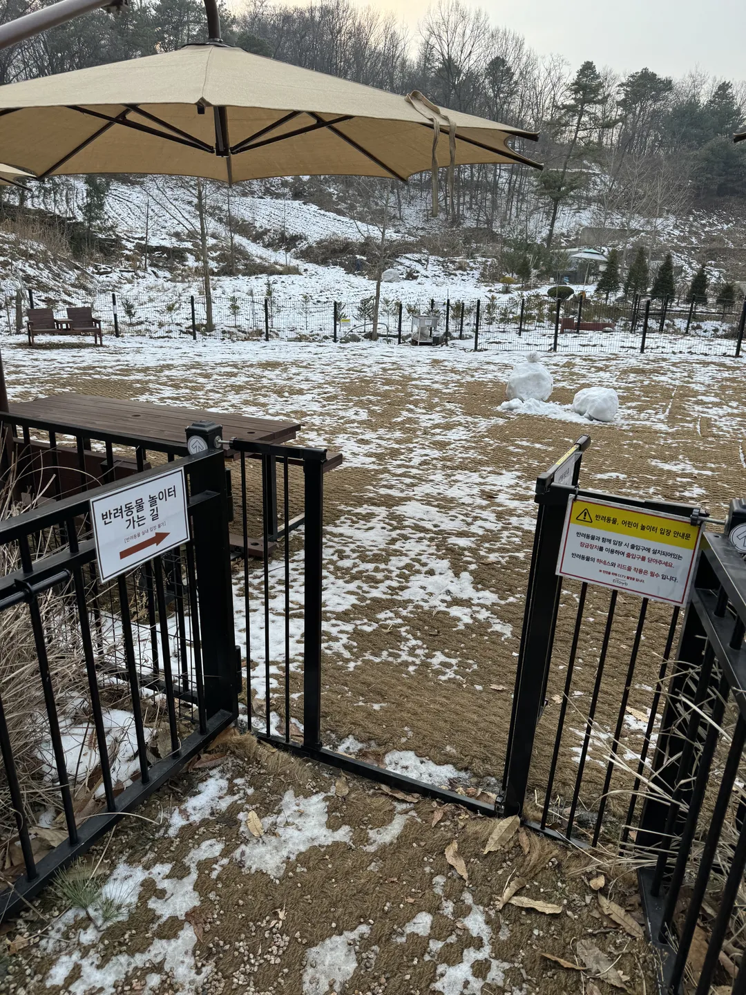 카페 엘토브 사진 13