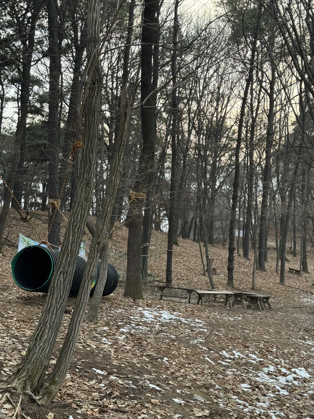 카페 엘토브 사진 20