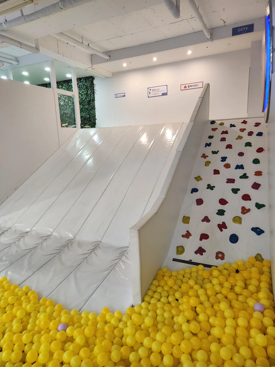 키즈다쿵 사진 8