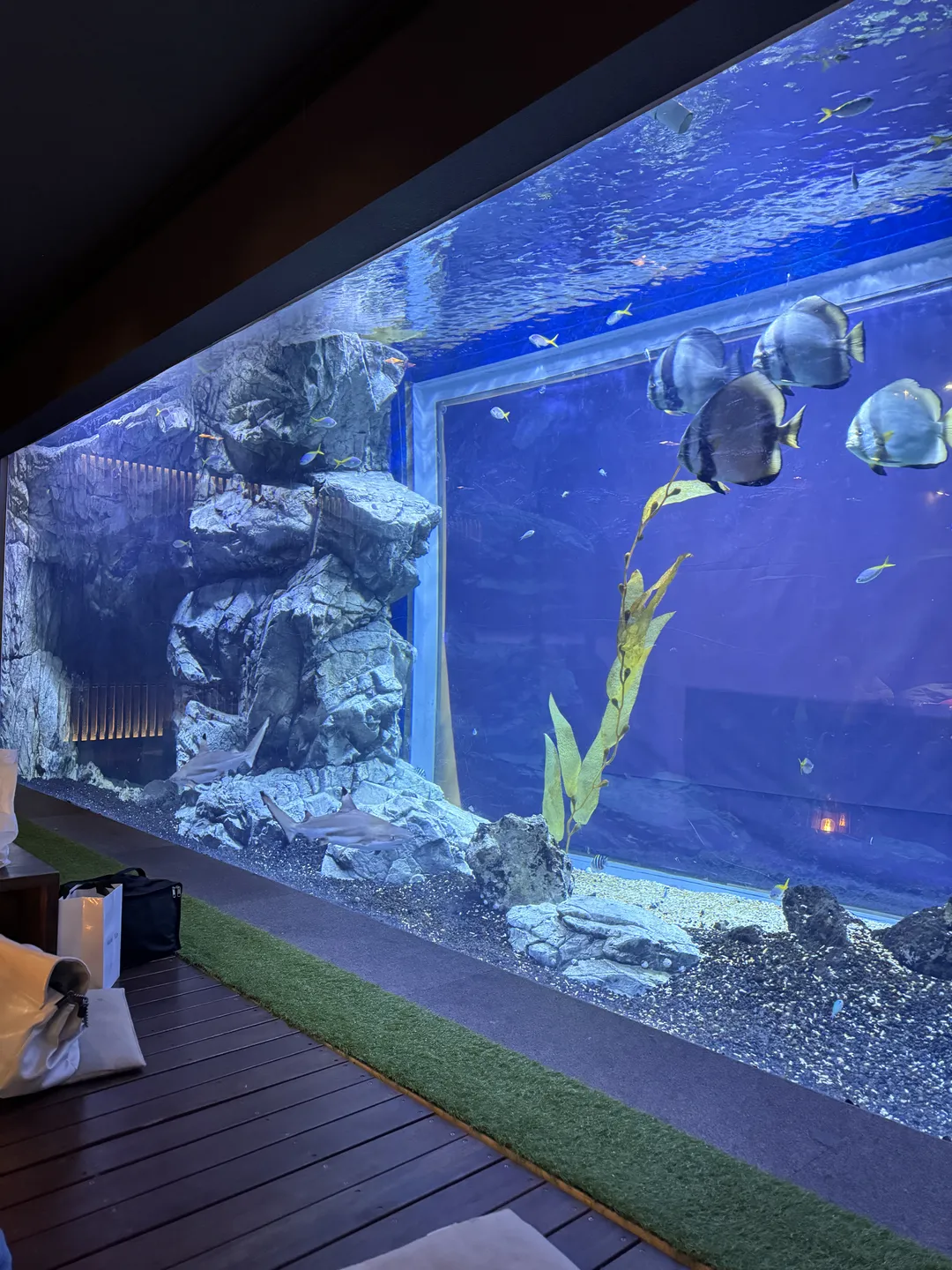 青水堂 海林 写真 8
