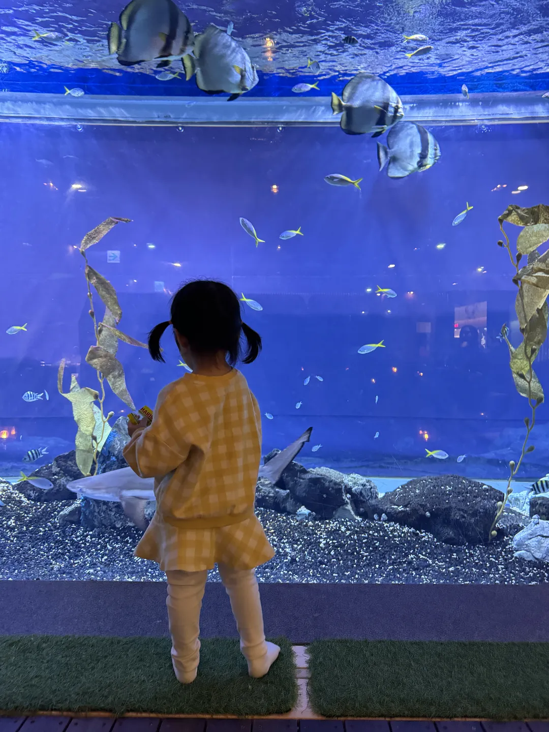 青水堂 海林 写真 6