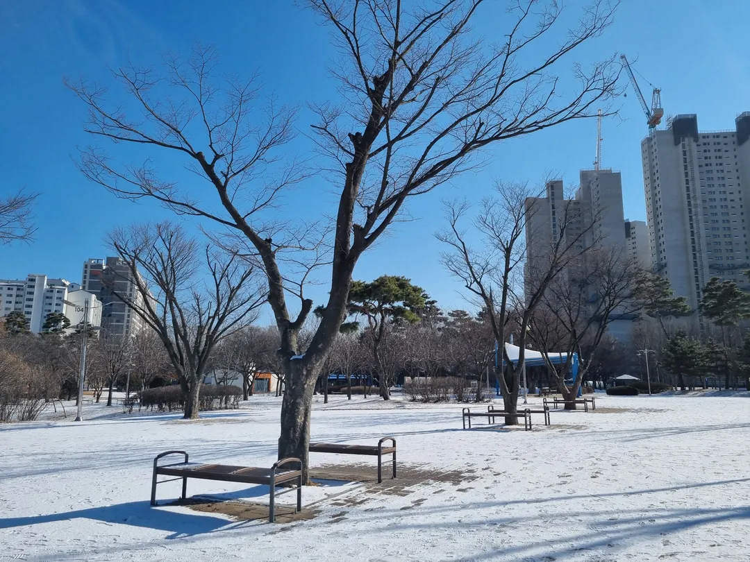 부평공원 사진 18