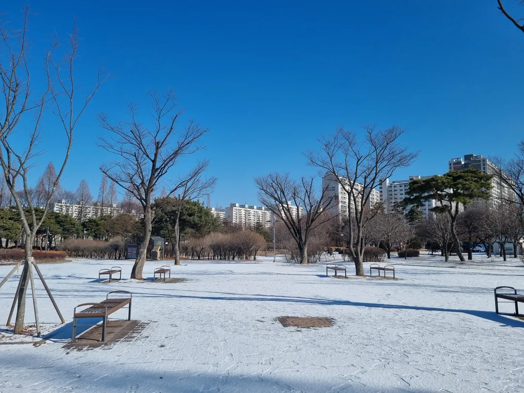 부평공원 사진 6