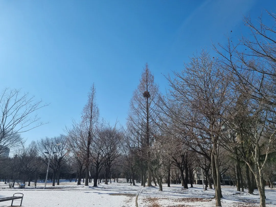 부평공원 사진 9