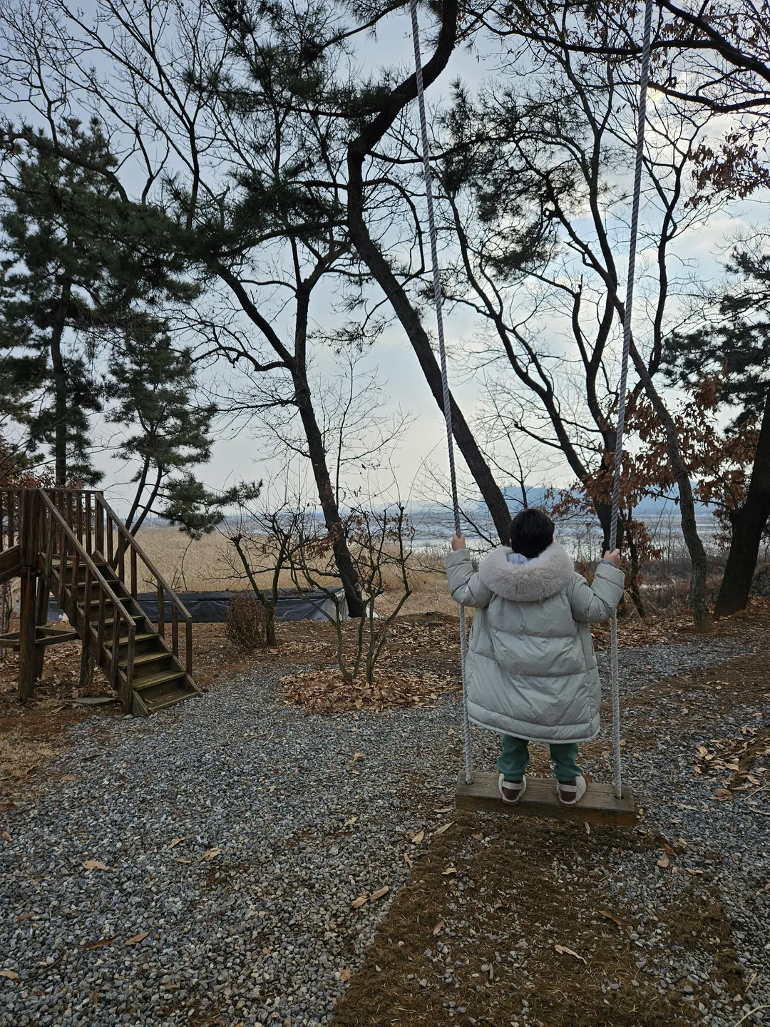 카르폰
