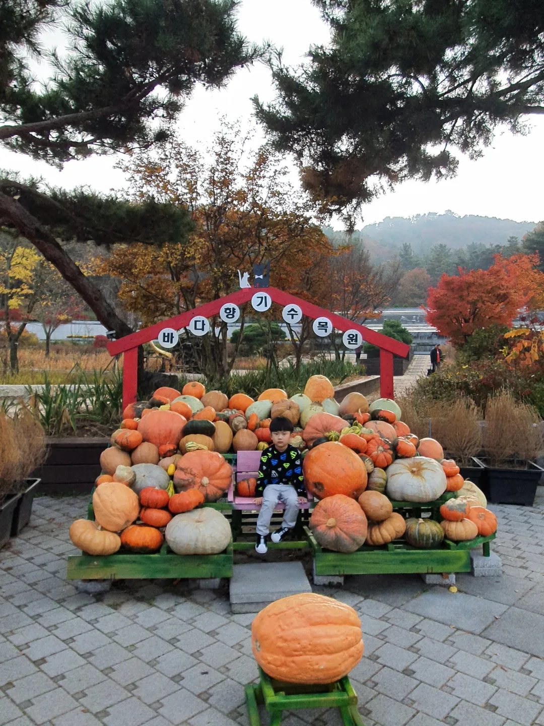 바다향기수목원 사진 11