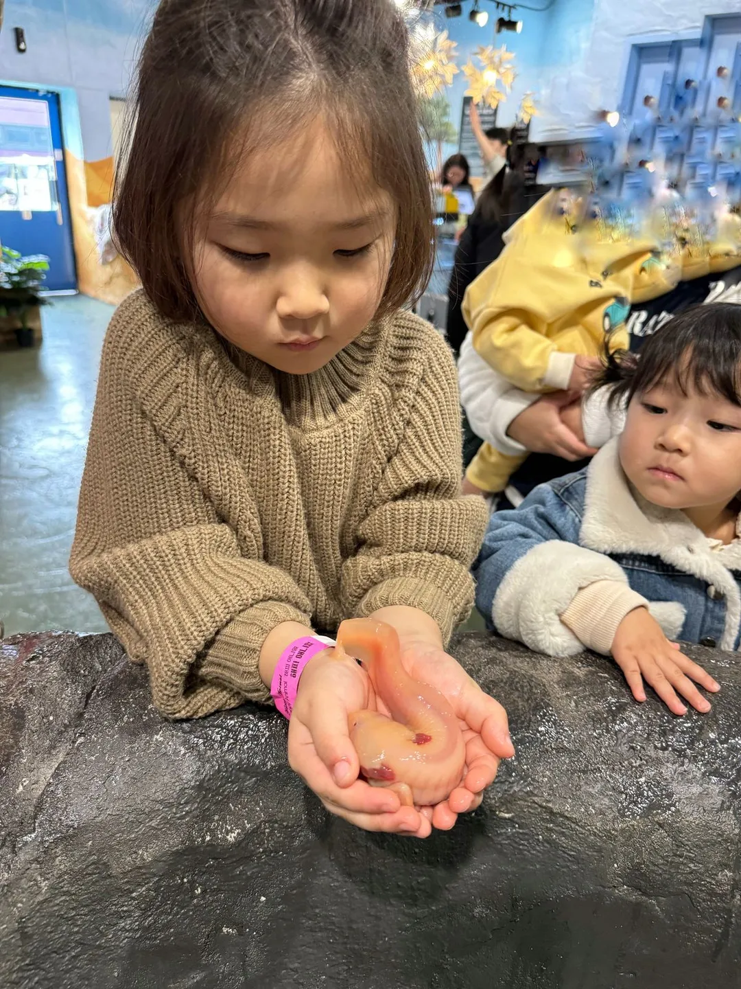 해피애니멀