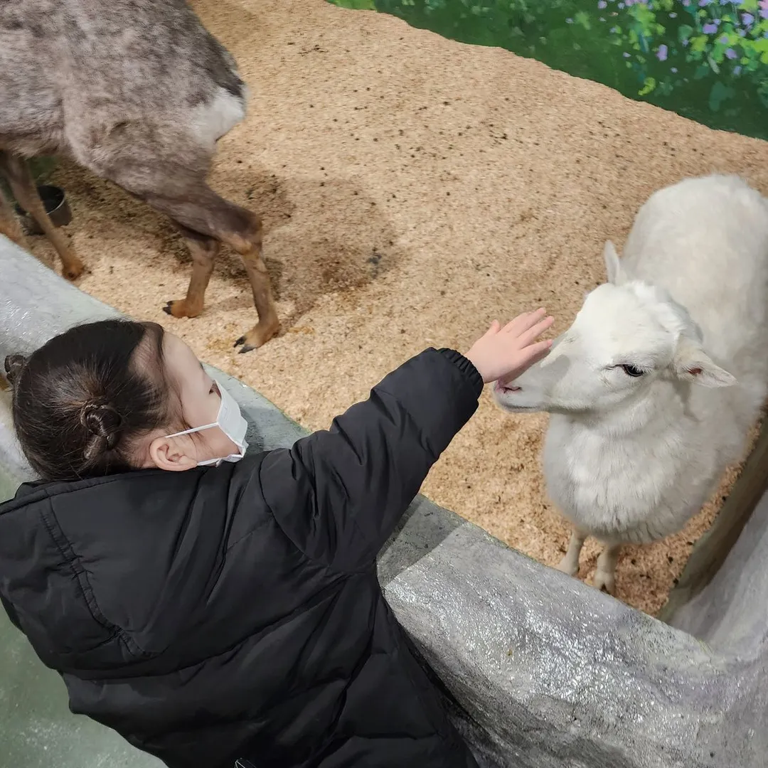 해피애니멀