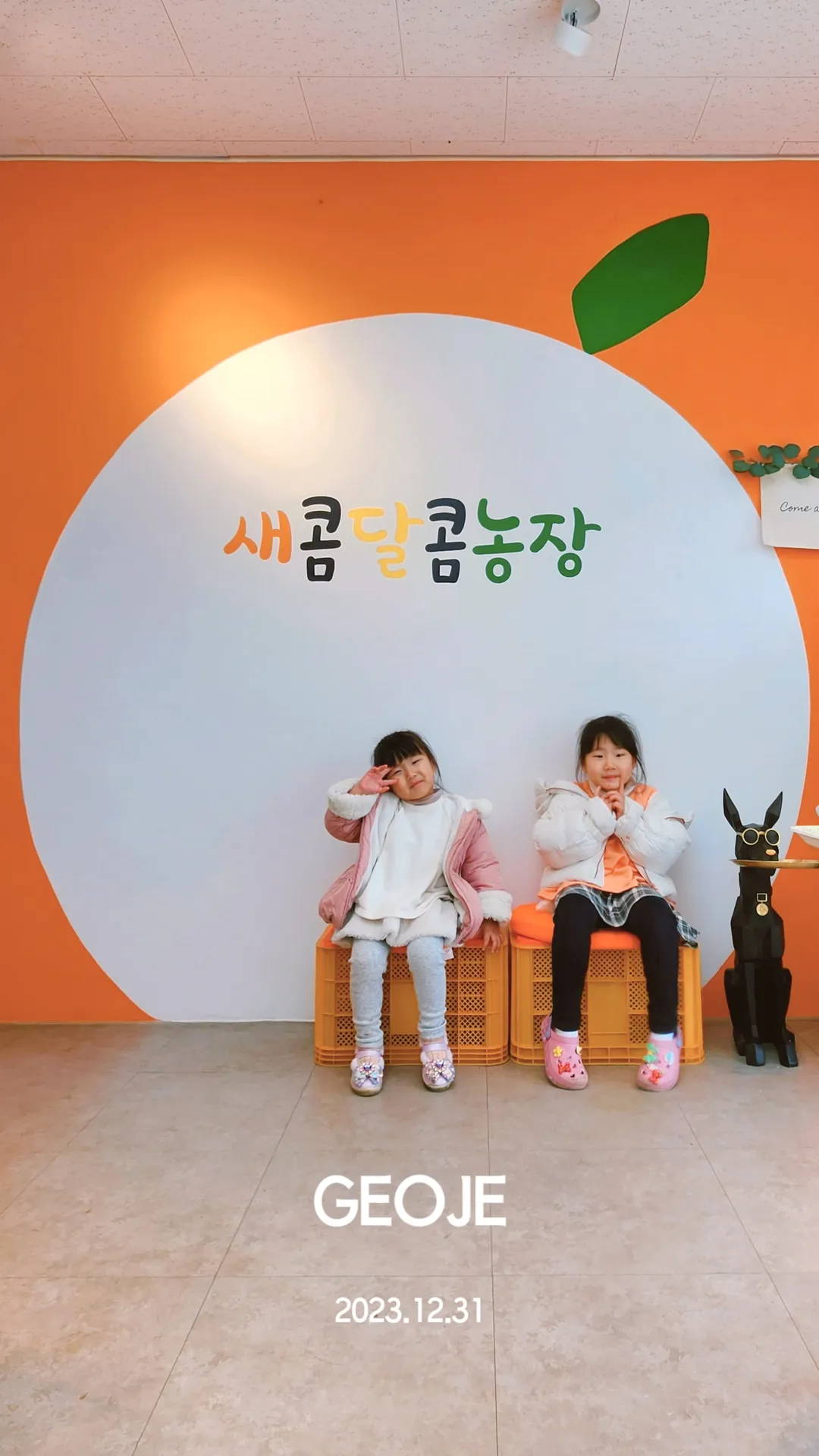 새콤달콤농장 사진 7